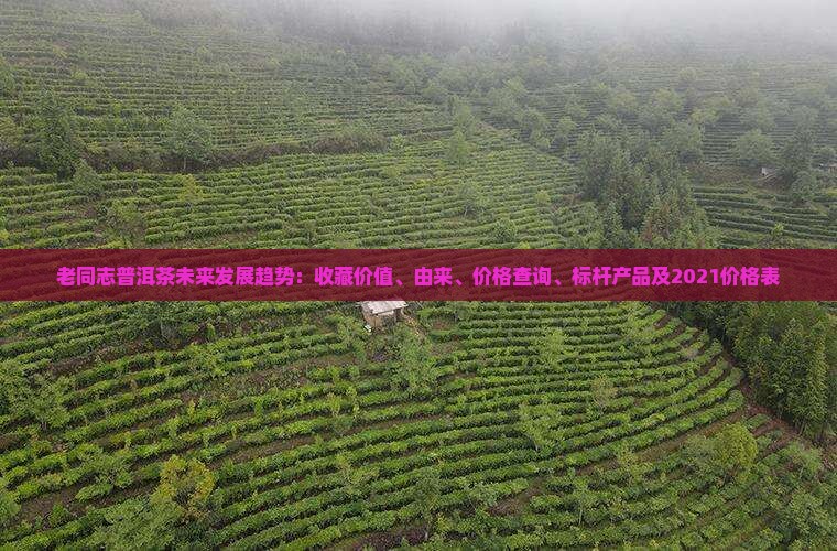 老同志普洱茶未来发展趋势