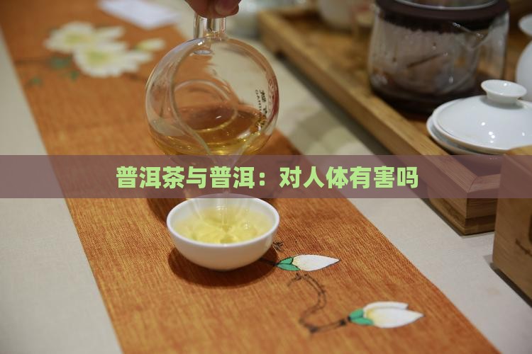 云南普洱茶对人体有害吗