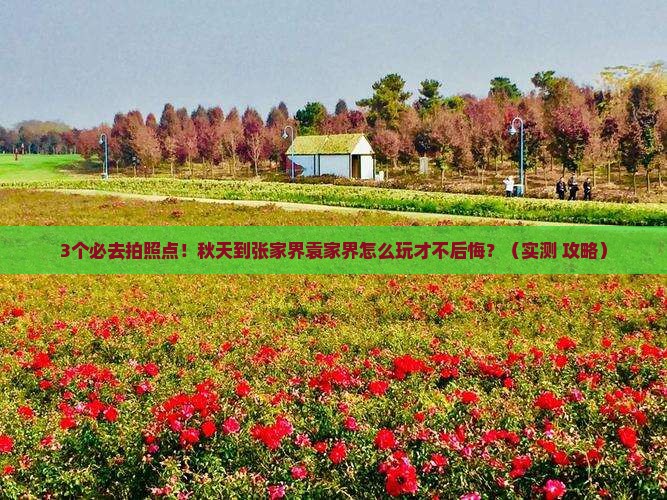 3个必去拍照点！秋天到张家界袁家界怎么玩才不后悔？（实测+攻略）