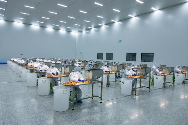 3笔500万！三个故事看恒丰银行普惠金融助力书写沂蒙老区新篇