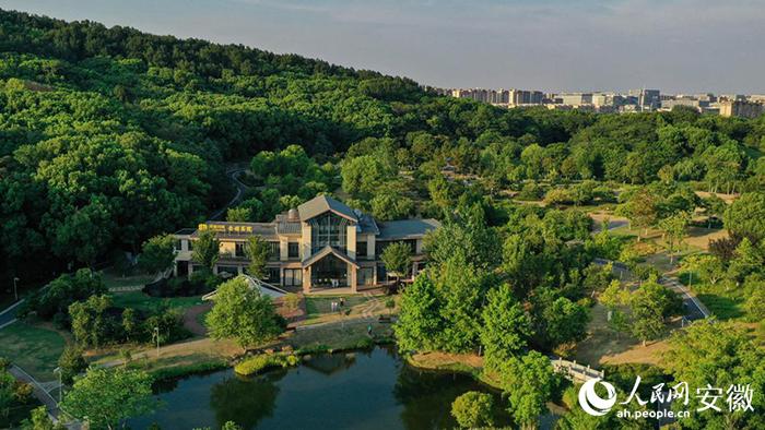 闹中取静的赤铸书院。人民网记者 张俊摄