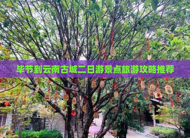 毕节到云南古城二日游