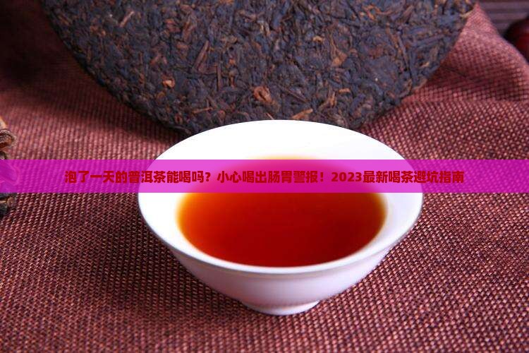泡了一天的普洱茶能喝吗 泡了一天的普洱茶能喝吗