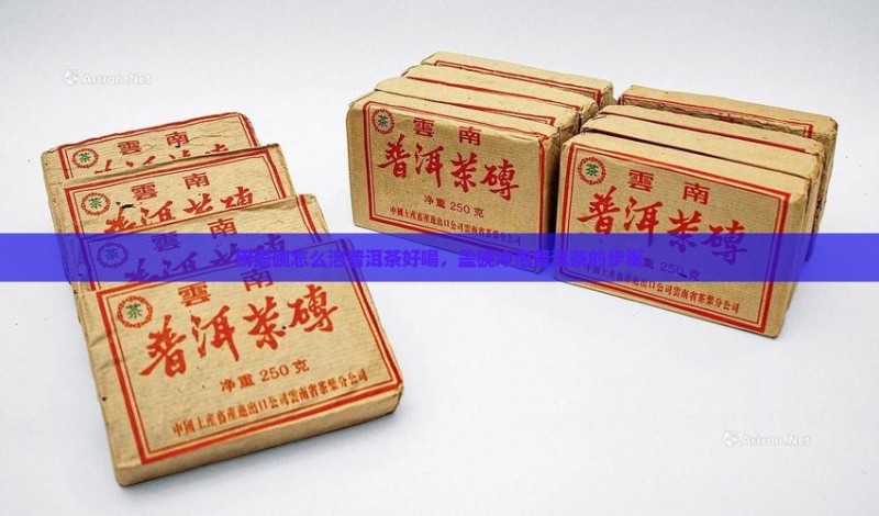 用盖碗怎么泡普洱茶