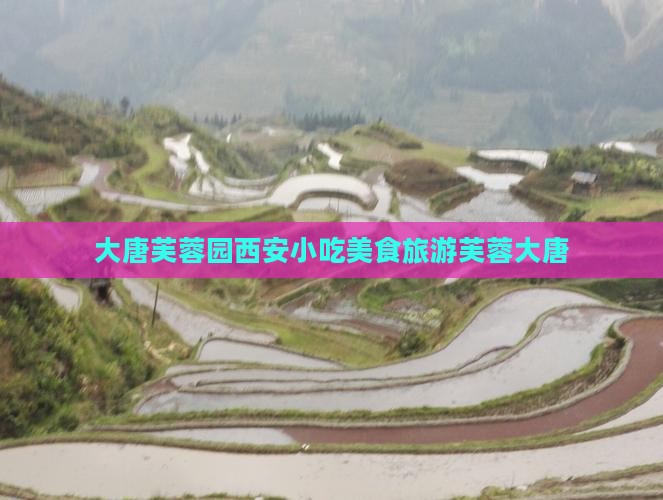 三月到西安大唐芙蓉园旅游小吃