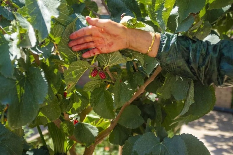 摩旅第47天，从喀什出发到阿图什骑行226公里，花费35元