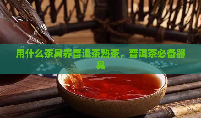 用什么茶具养普洱茶熟茶，普洱茶必备器具