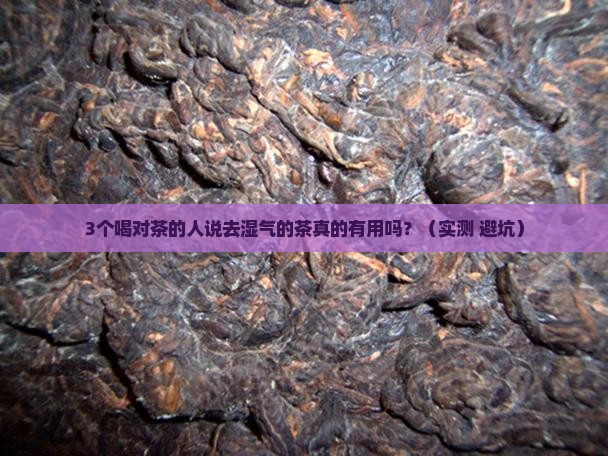 3个喝对茶的人说去湿气的茶真的有用吗？（实测+避坑）