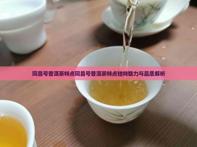 同昌号普洱茶特点