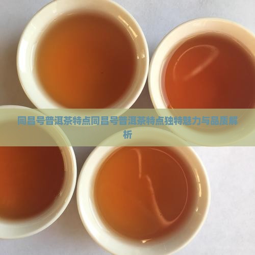 同昌号普洱茶特点