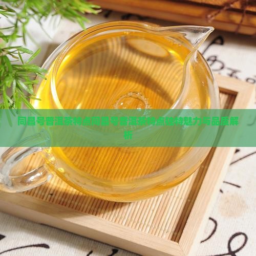 同昌号普洱茶特点