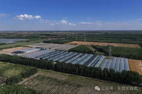 黄河臂弯里的生态富民新图景