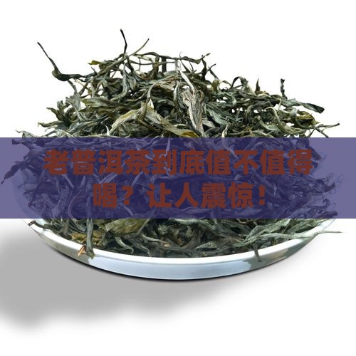 老普洱茶是怎么样的