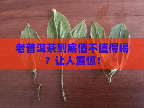 老普洱茶是怎么样的
