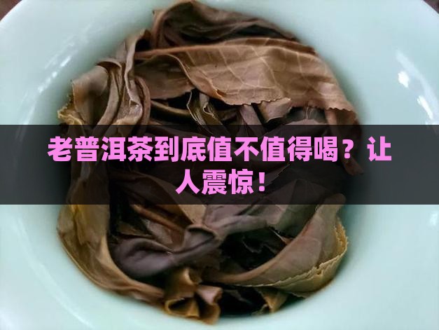 老普洱茶是怎么样的
