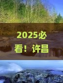 2025必看！许昌出发去厦门鼓浪屿实测攻略，省钱秘籍+避坑指南全曝光！