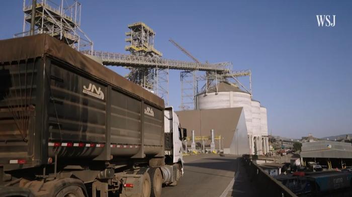 巴西桑托斯港 视频截图