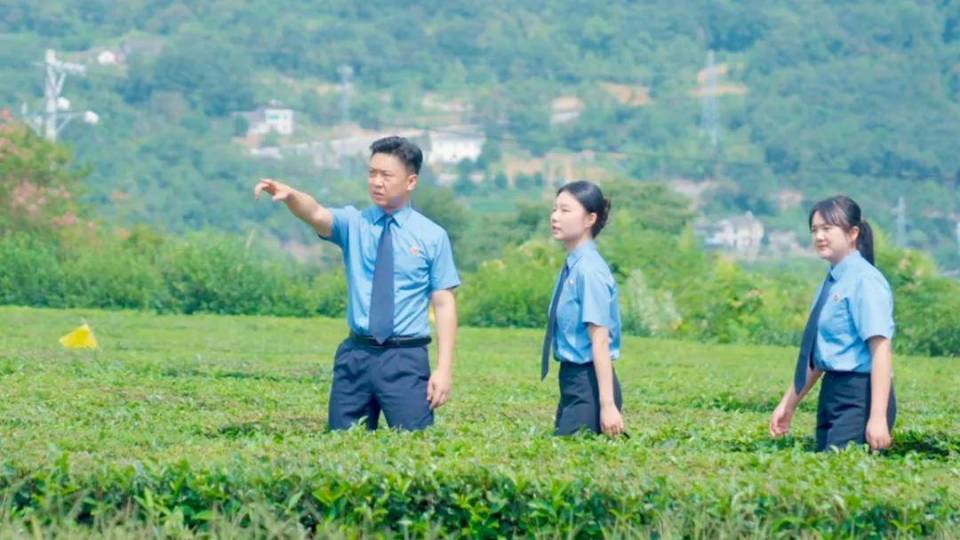 茶圣故里，“检察蓝”守护茶香醇郁