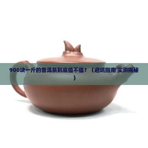 900块一斤的普洱茶到底值不值？（避坑指南+实测揭秘）