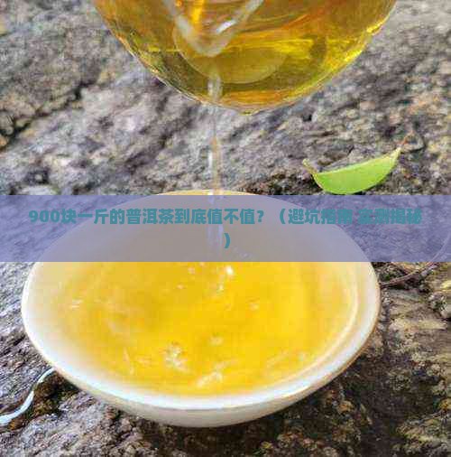 九百块一斤的普洱茶有哪些