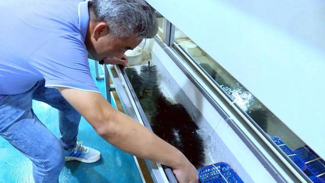 淡水龙虾、菌菇……赤凤镇盘活土地资源，破解致富密码