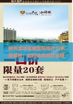 郴州龙泽福城国际周边二手房