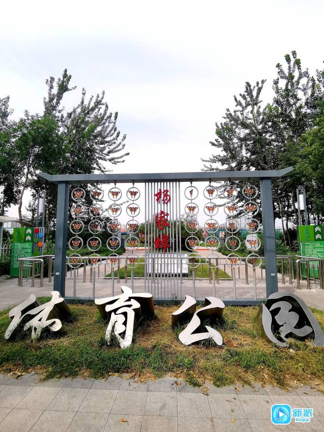 遛娃健身学知识！潍坊这个公园太“全能”