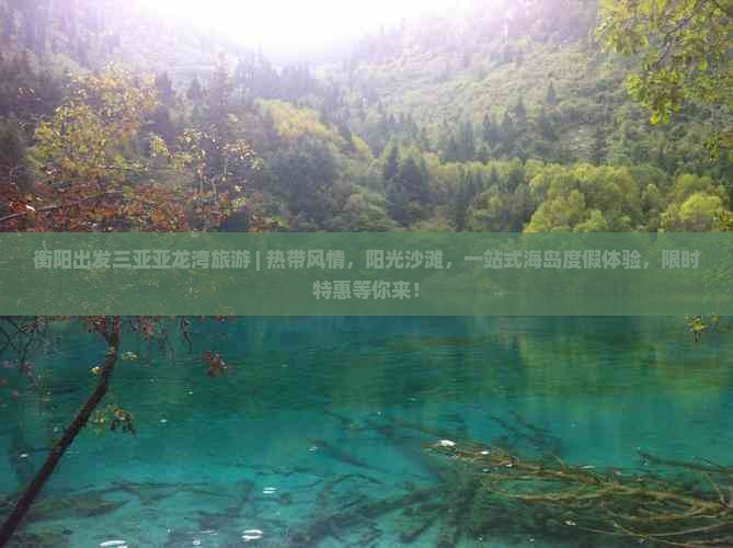 衡阳出发三亚亚龙湾旅游