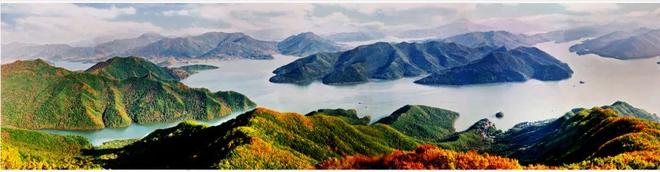 有一种美食鱼宴叫“三花一岛”