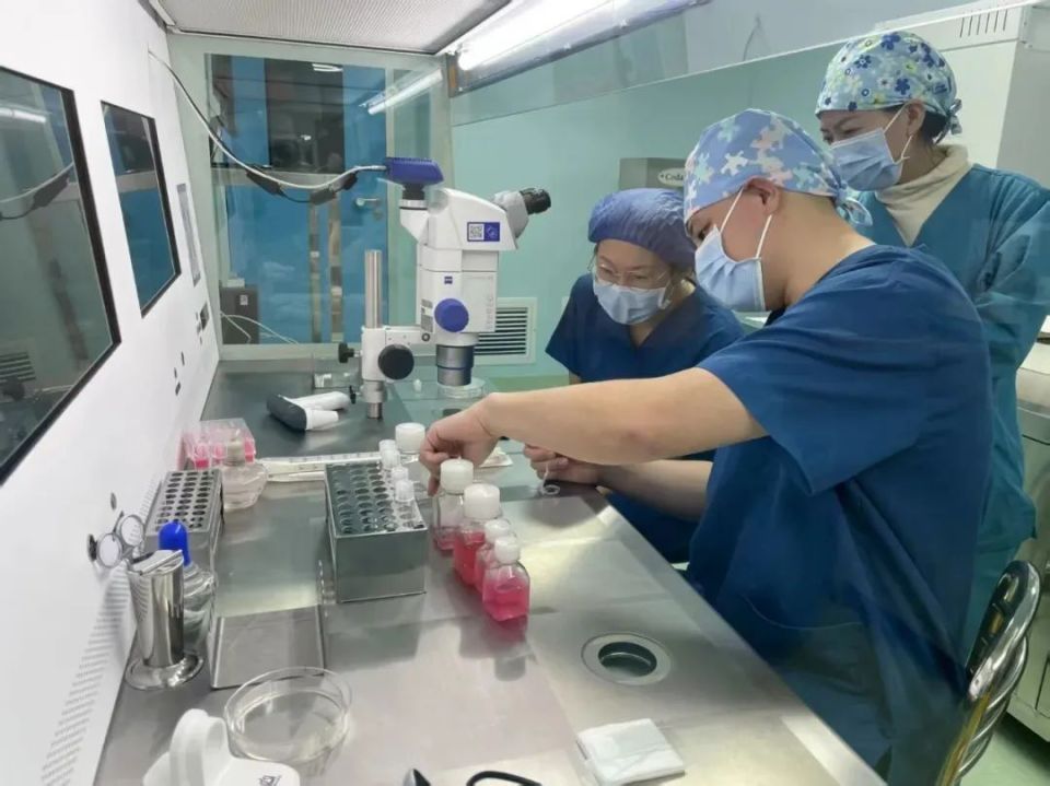 景德镇首例试管婴儿平安降生 书写生命奇迹新篇章