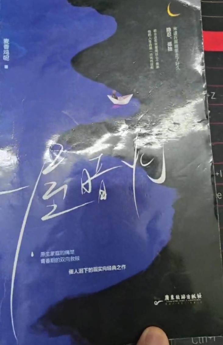 小学女生网购盗版小说涉黄尺度大，家长担心孩子身心受影响，出版社：将联系平台打击盗版