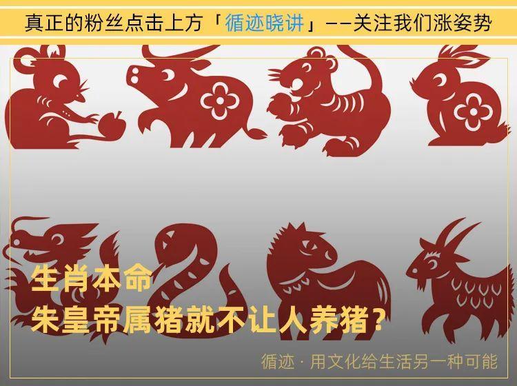 朱厚照：朕属猪，刁民宰猪是几个意思？｜ 循迹晓讲