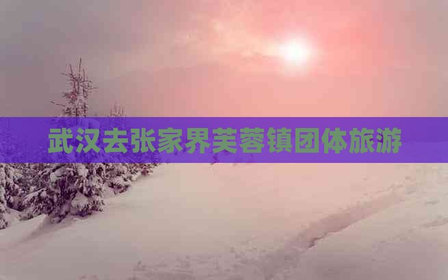 武汉去张家界芙蓉镇团体旅游