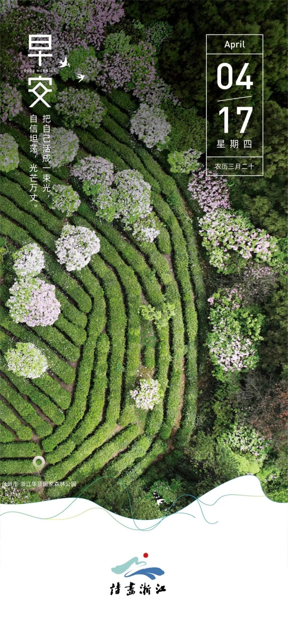 毛孩子可以坐高铁了！这份宠物友好踏青指南你可能需要