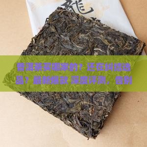 普洱茶买哪家的 普洱茶买哪家的