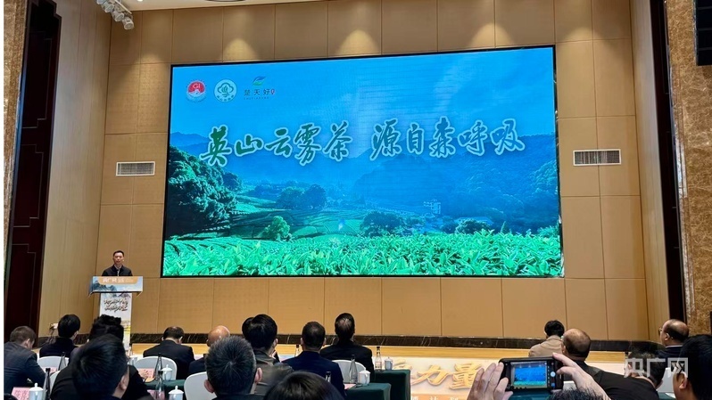地标中国｜英山云雾茶香飘央广网2026地标产品精品传播计划发布会_腾讯新闻
