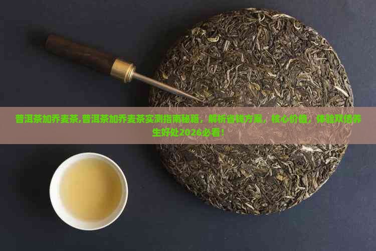 普洱茶加乔麦茶,普洱茶加乔麦茶实测指南秘籍，解析省钱方案，核心价值，体验双倍养生好处2026必看！