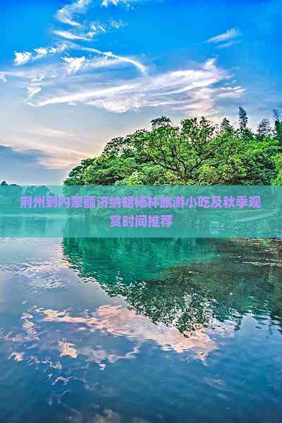 荆州到内蒙额济纳胡杨林旅游小吃