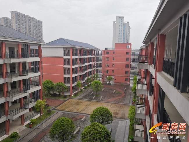 1572246647297941.jpg 27完小.jpg