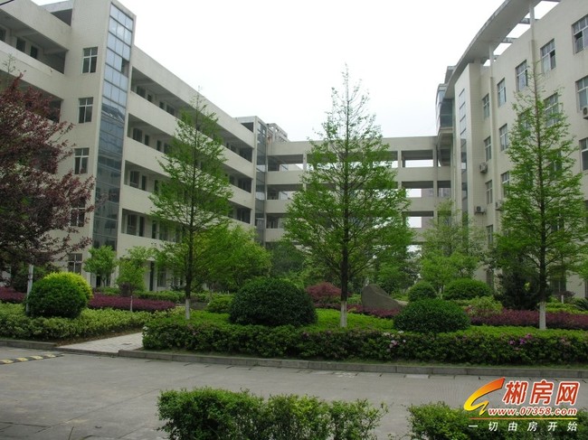 1572246574769760.jpg 湘南中学2.JPG